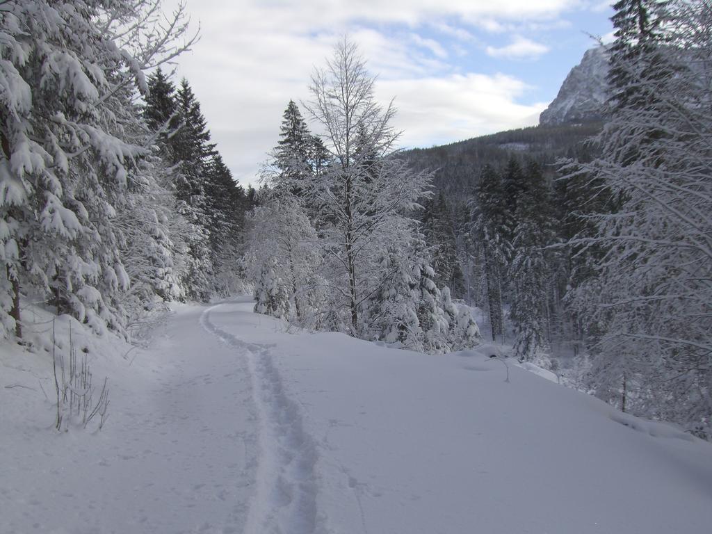 Ferienwohnung Am Roemerweg Wald Inzell Exteriör bild