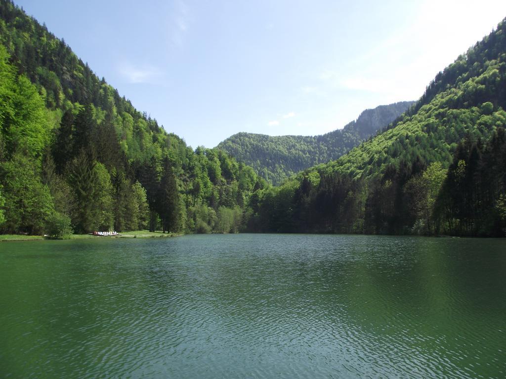 Ferienwohnung Am Roemerweg Wald Inzell Exteriör bild